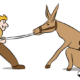 stubborn person in a tug-of-war with a donkey