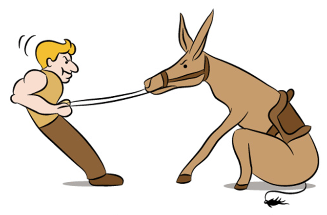 stubborn person in a tug-of-war with a donkey