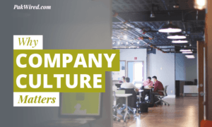 Why Company Culture Matters [infographic]