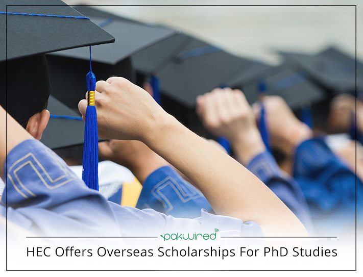 phd scholarships hec