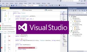 visual studio online code editor