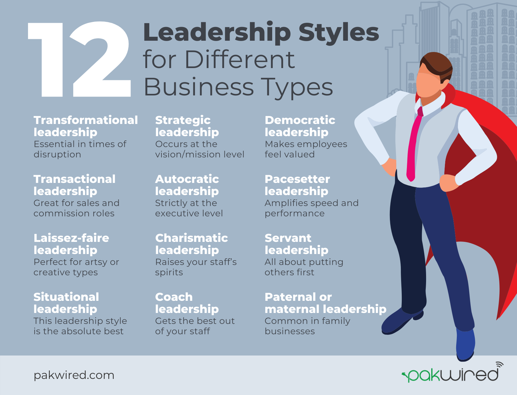12 Leadership Styles for Different Business Types and Work Environments